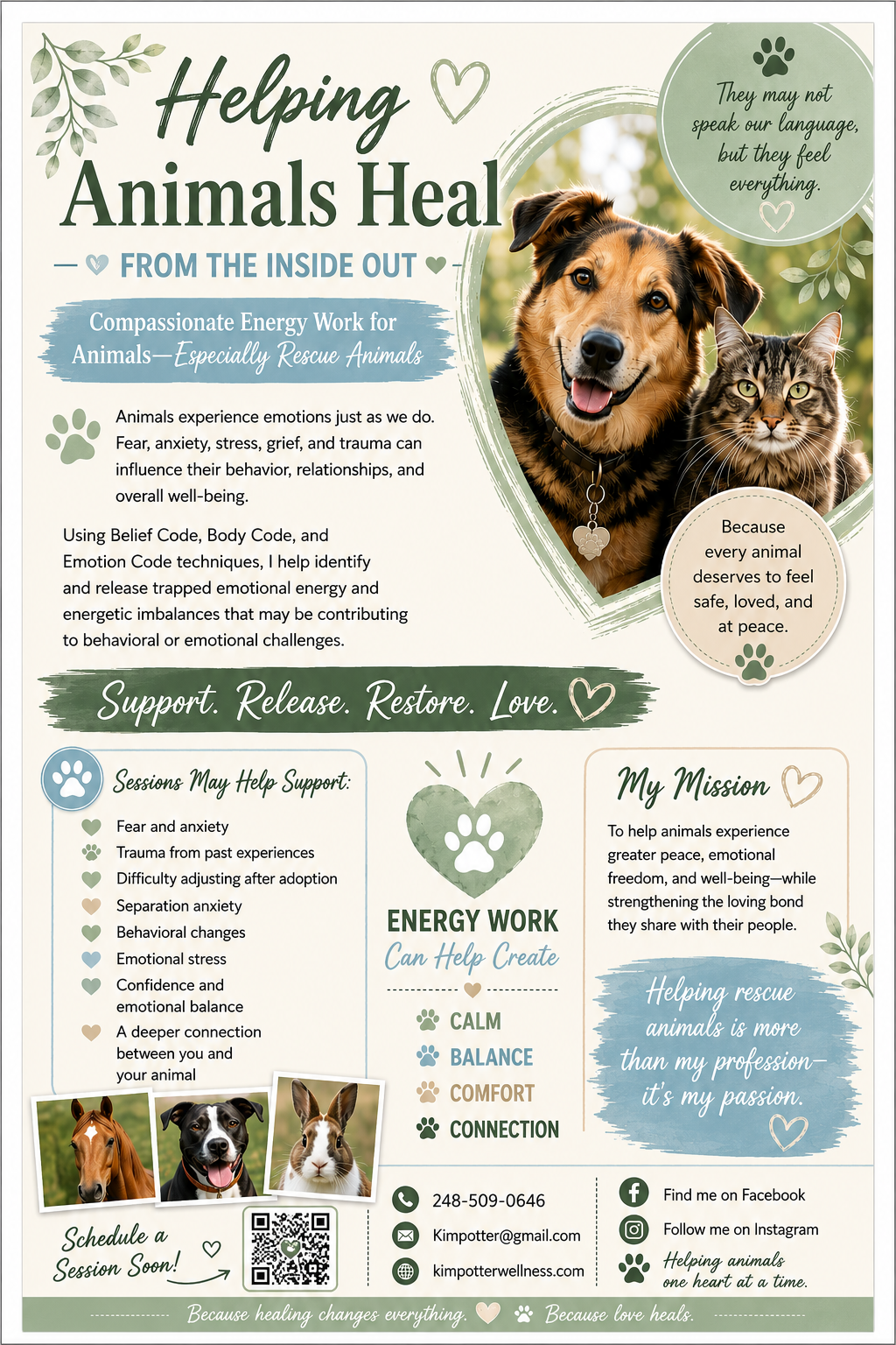 Helping Animals Heal - Kim Potter